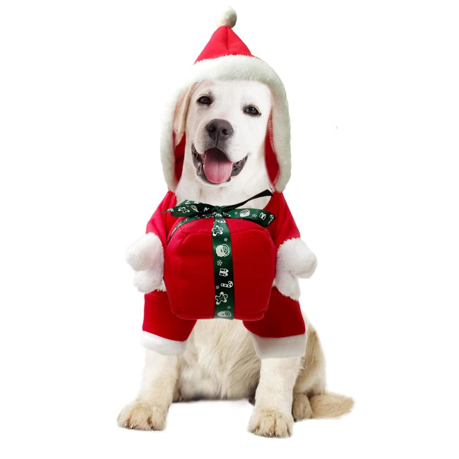 Christmas Costume.
