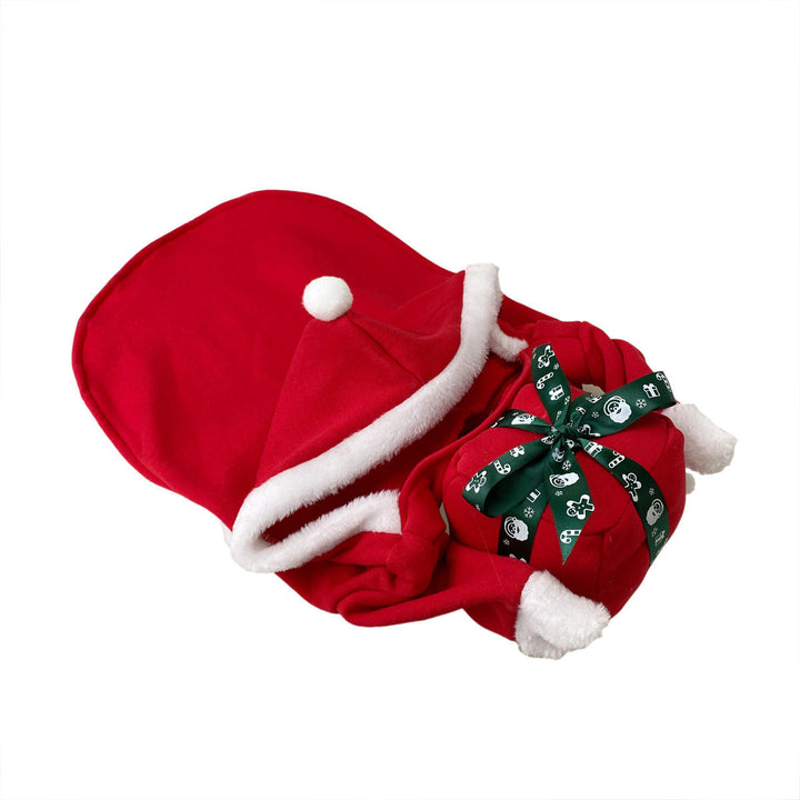 Christmas Costume.