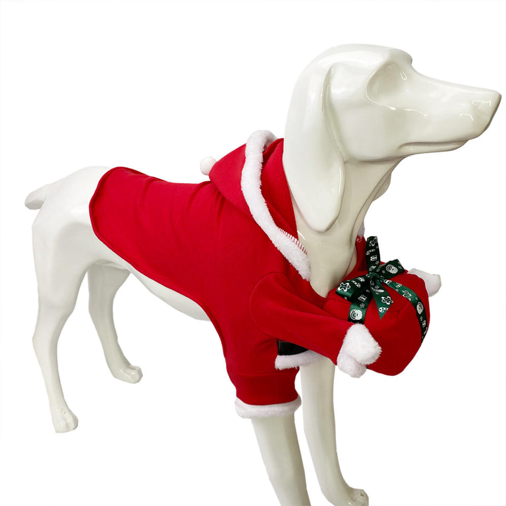 Christmas Costume.