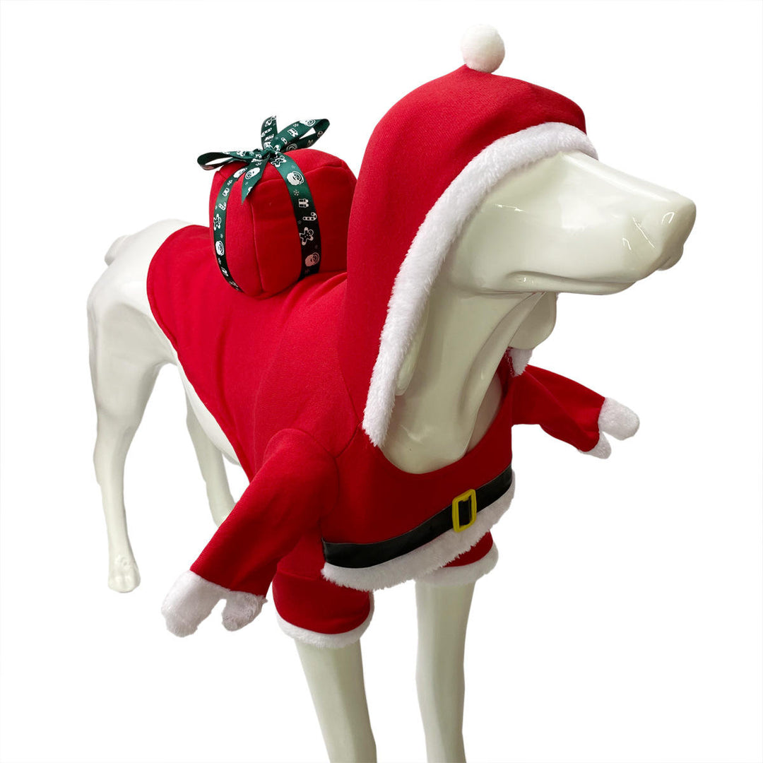 Christmas Costume.