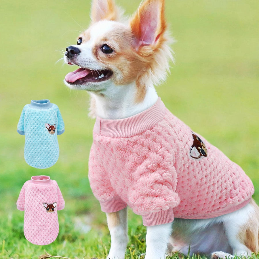 Cute Chihuahua Onesie.