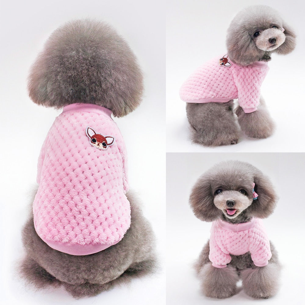 Cute Chihuahua Onesie.